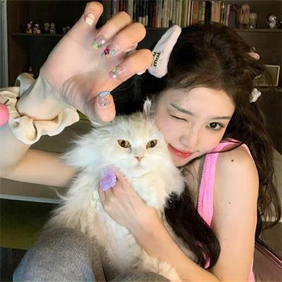 相敬如宾